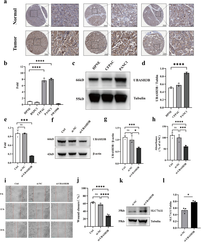 Figure 11