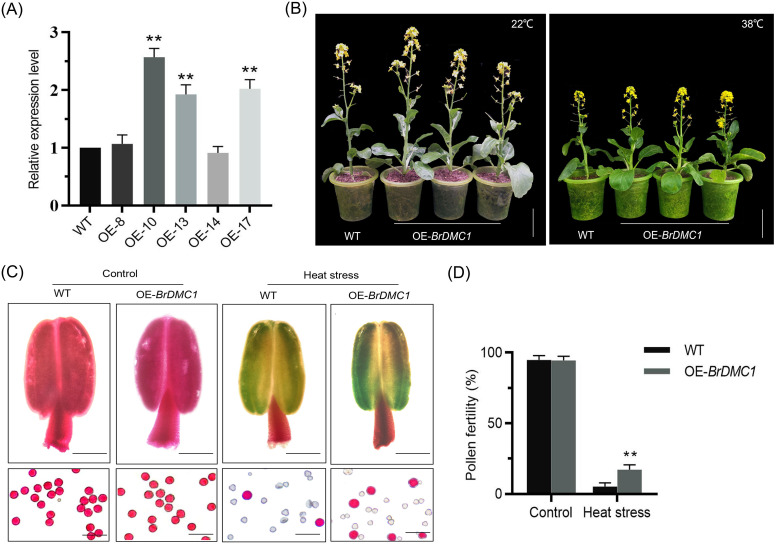 Figure 2