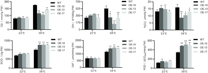 Figure 6