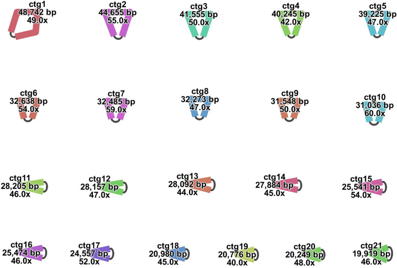 Figure 1