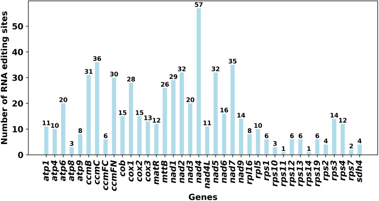 Figure 6
