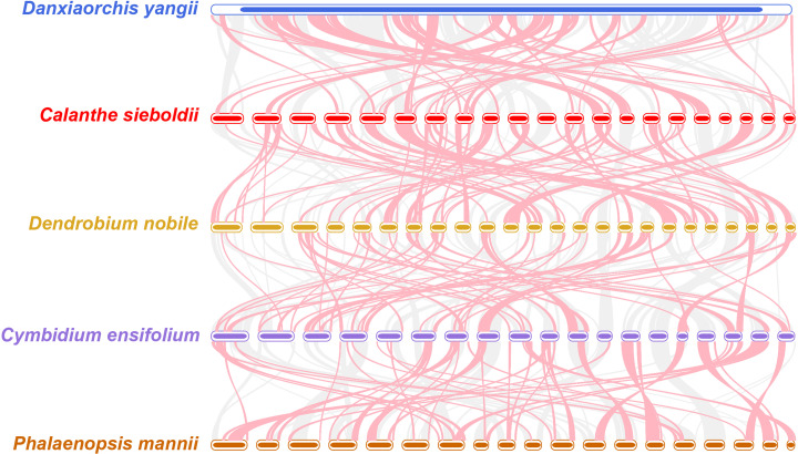 Figure 7