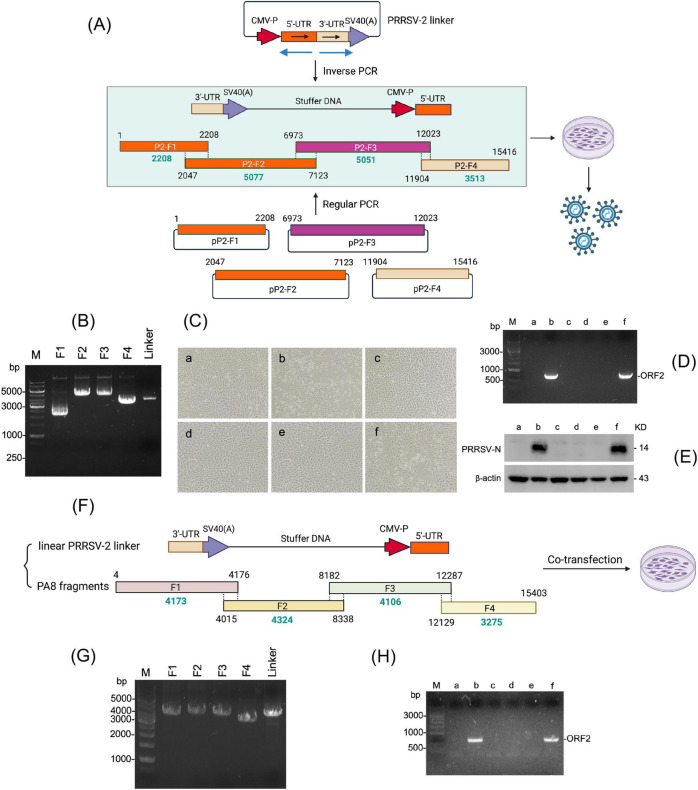 FIGURE 3