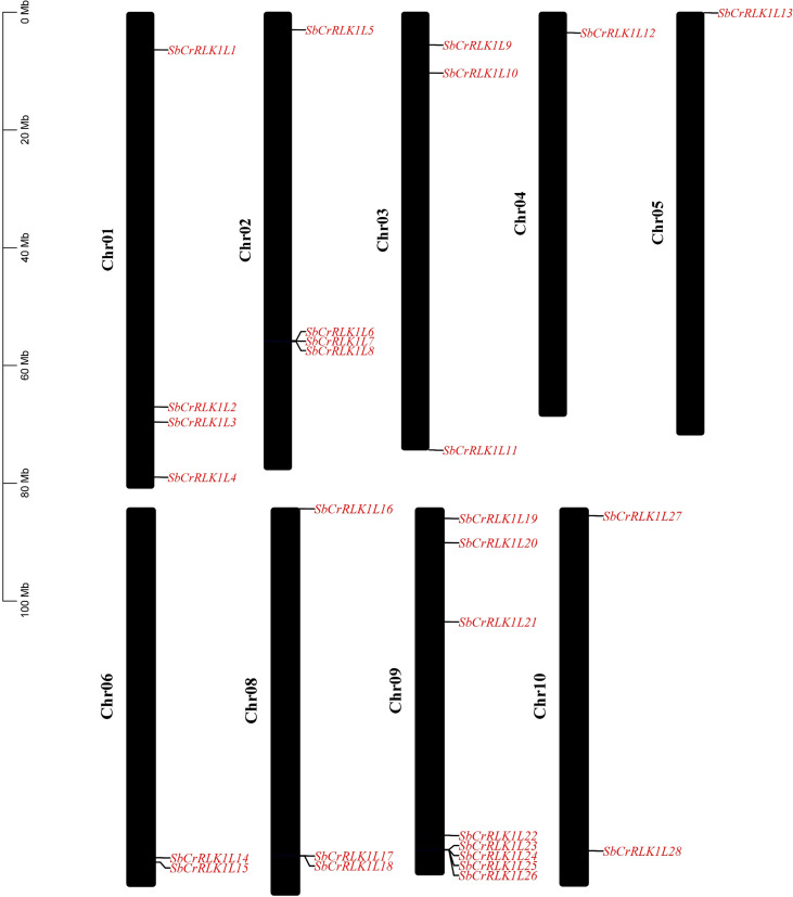 Figure 1
