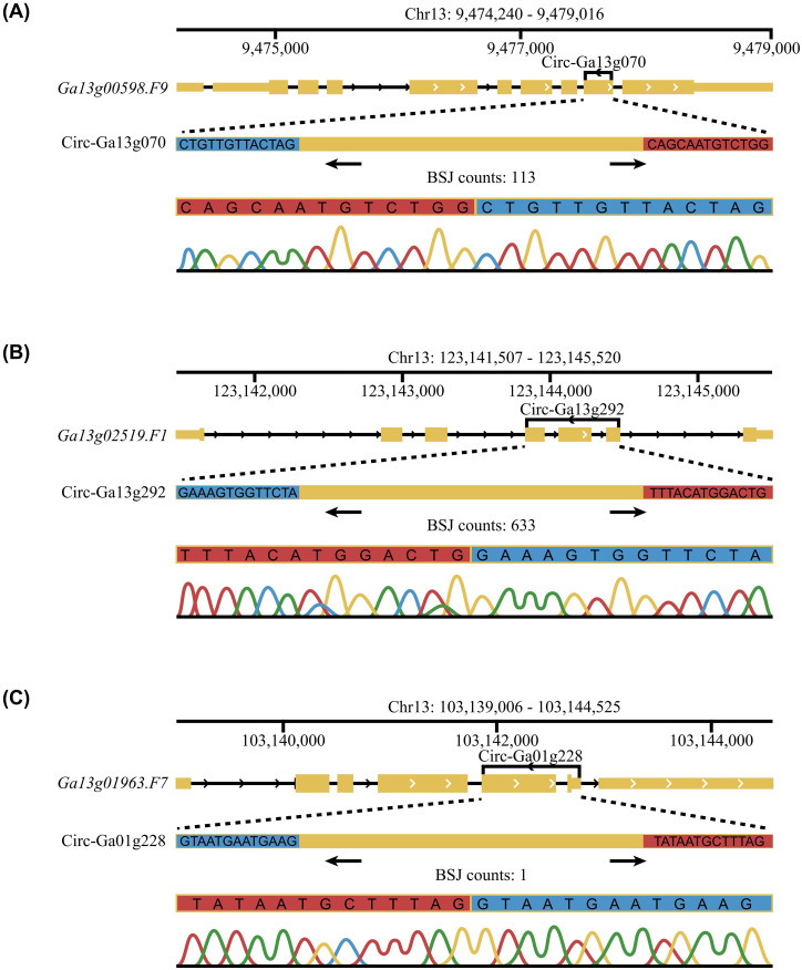 Figure 2
