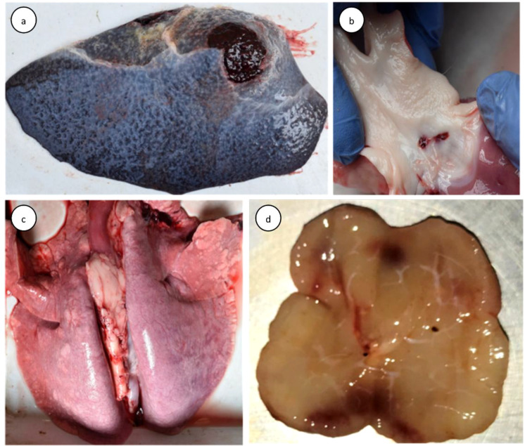 Figure 3