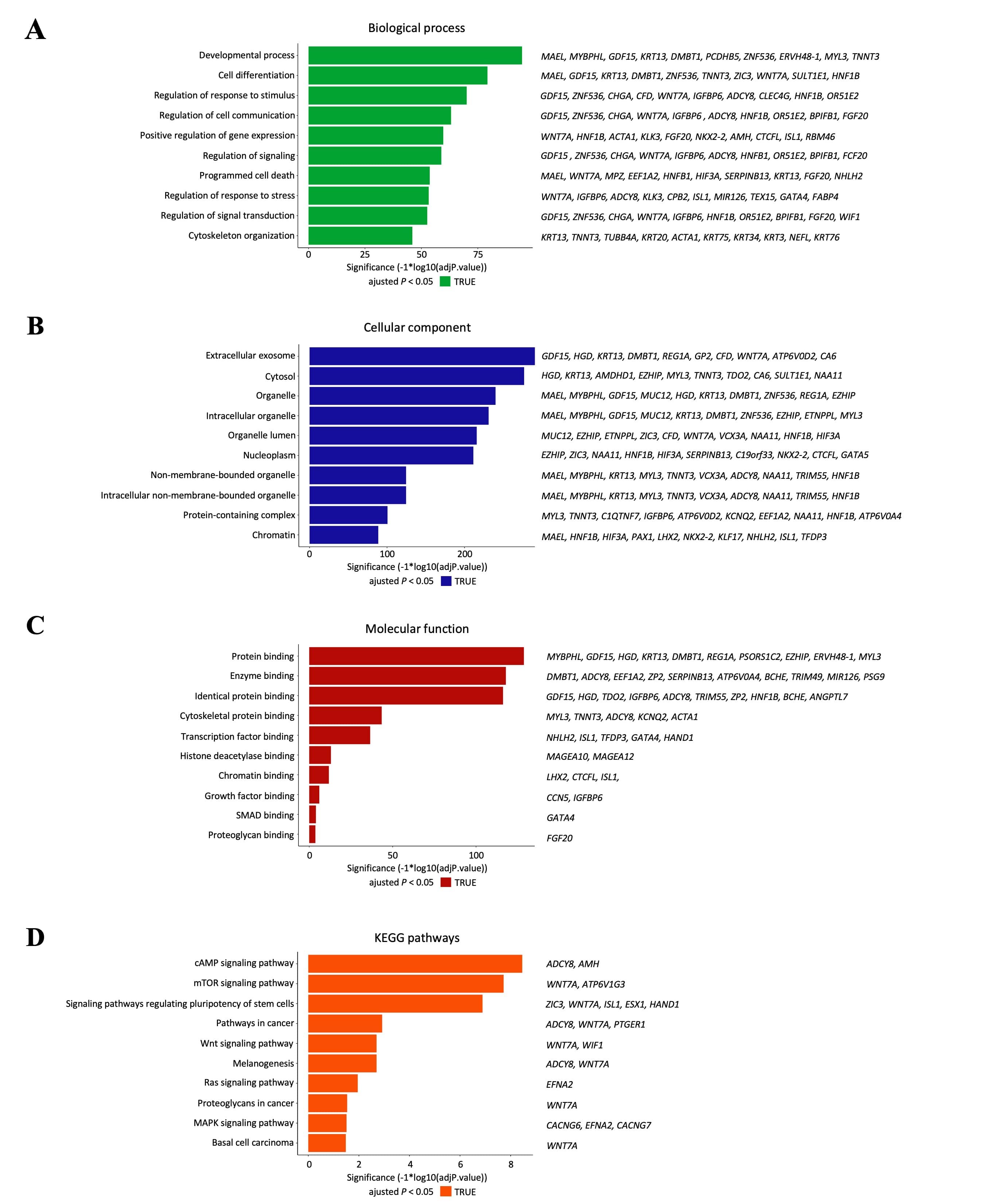 Figure 13