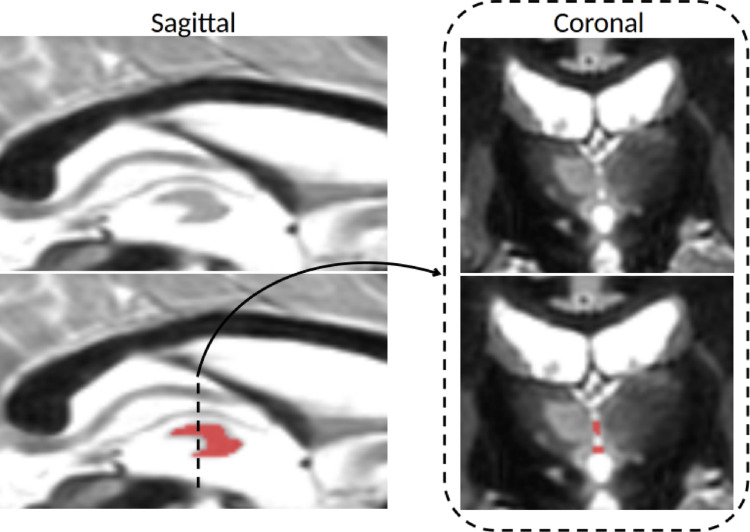 Figure 7