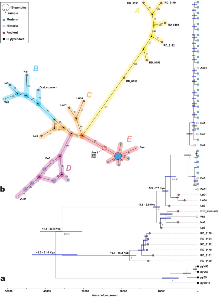 Figure 10