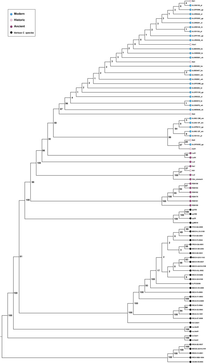 Figure 9