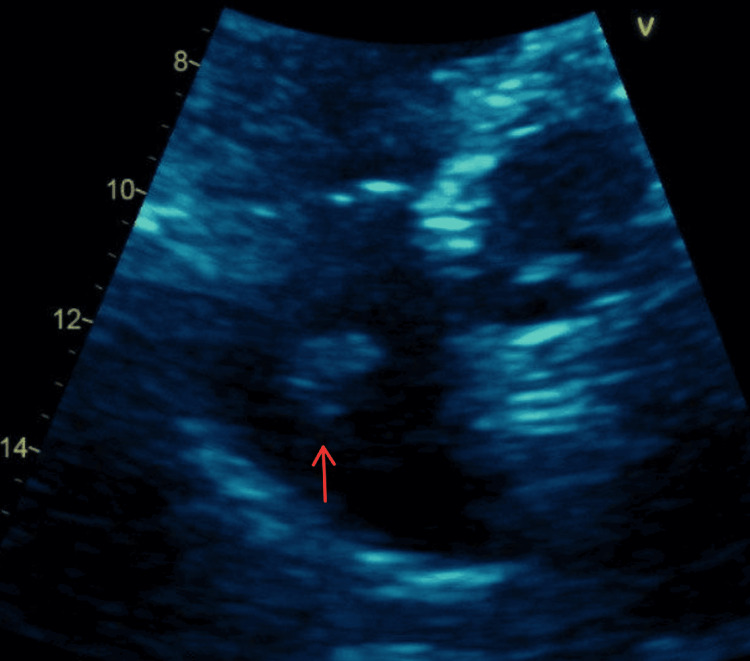 Figure 7