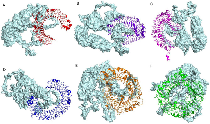 Figure 7