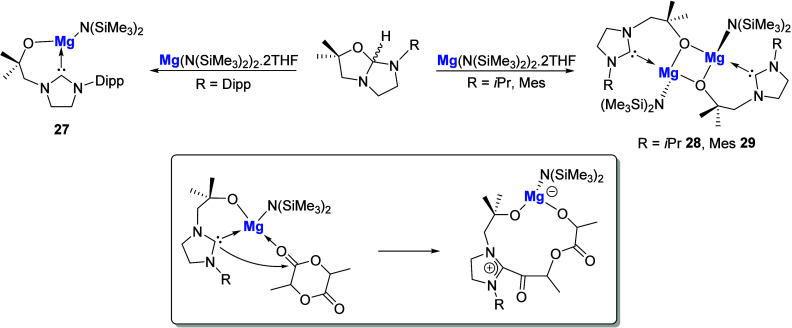 Figure 21