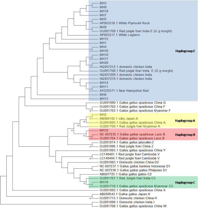 Figure 2
