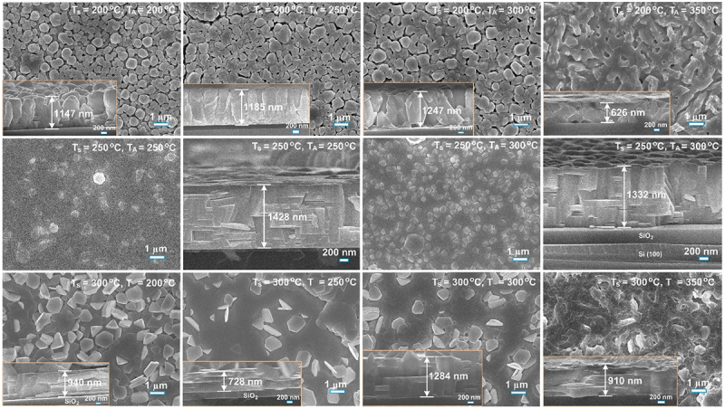Figure 14