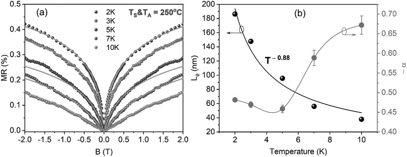 Figure 19