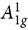 Figure 31