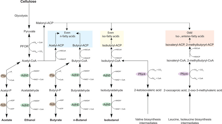 Fig 10