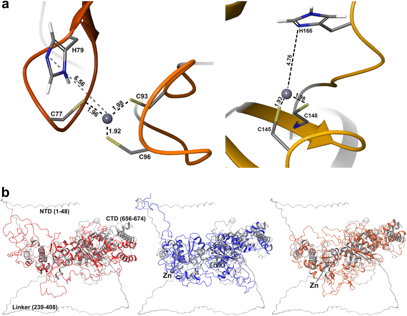 Figure 12