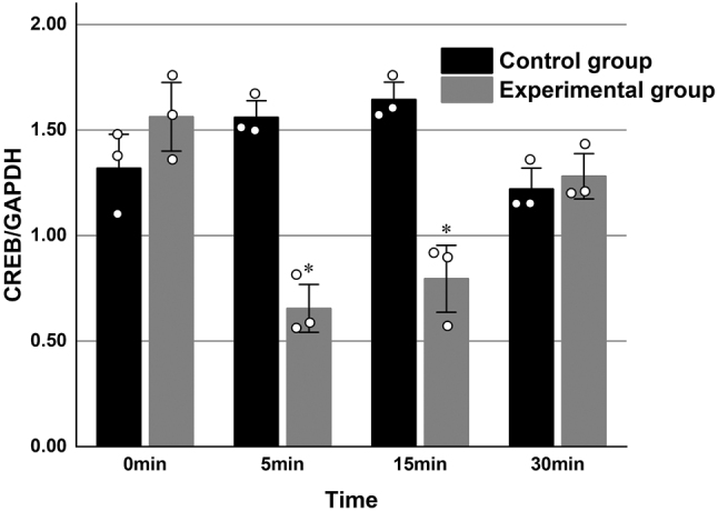 Figure 1