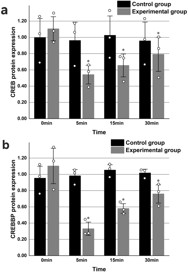Figure 3