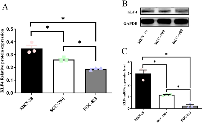 Figure 1