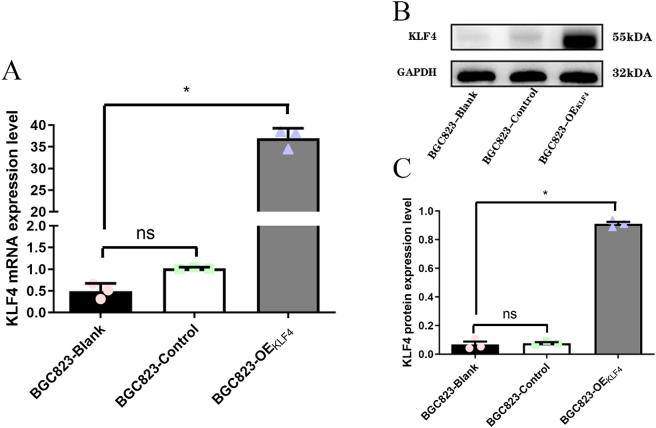 Figure 3