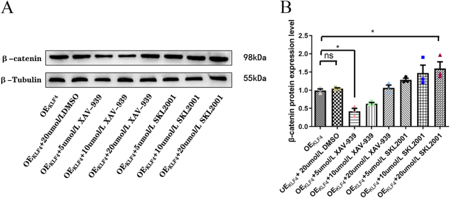 Figure 4