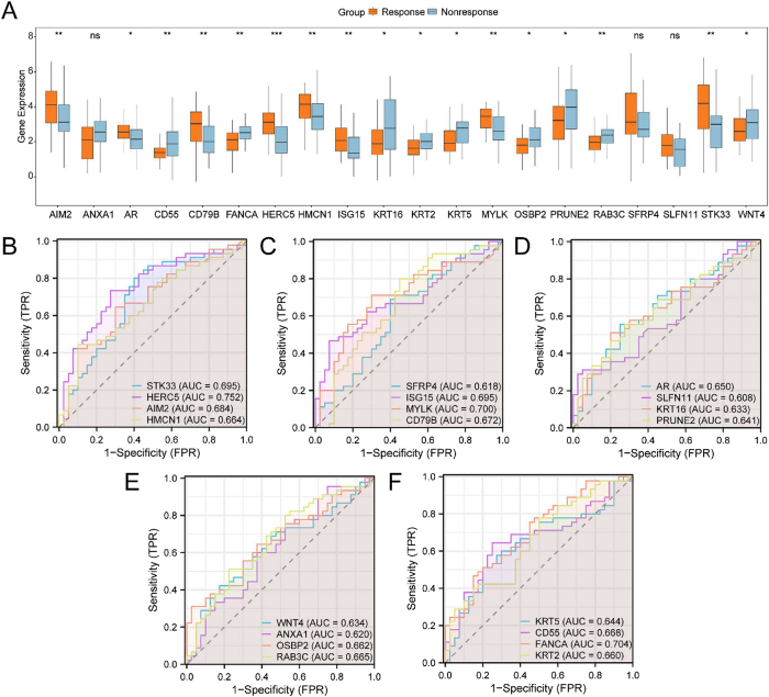 Figure 3