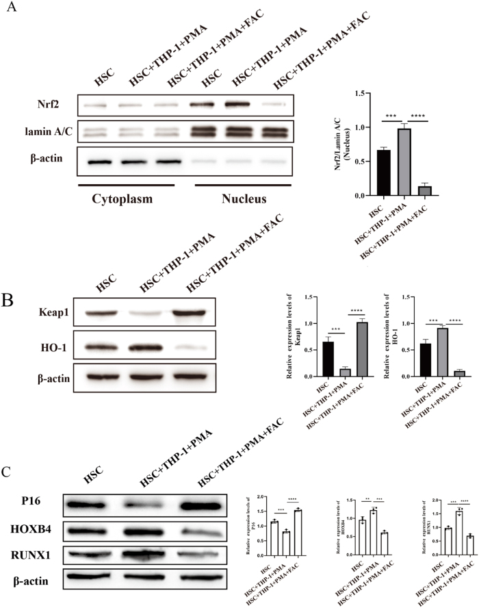 Figure 5