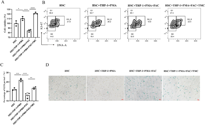 Figure 6