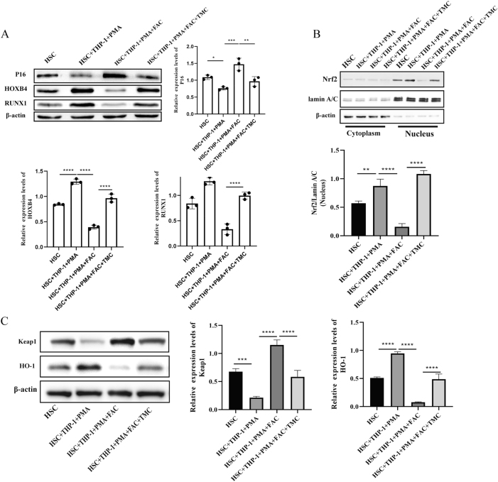 Figure 7