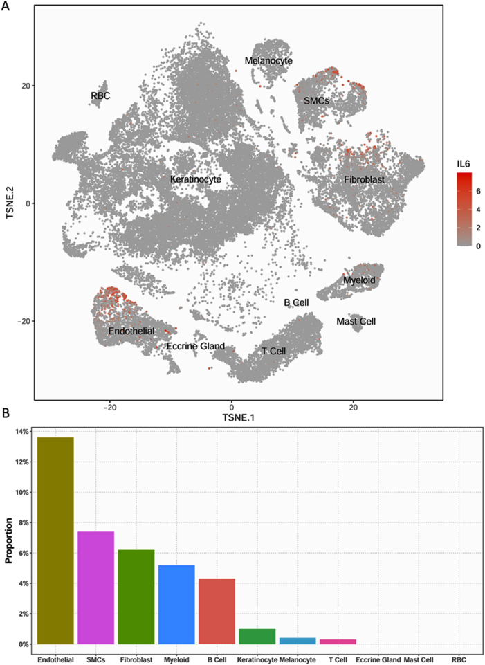 Figure 6