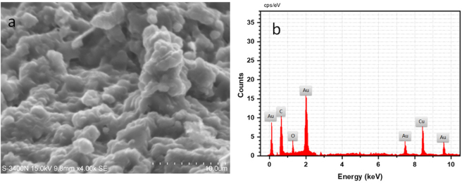 Figure 4