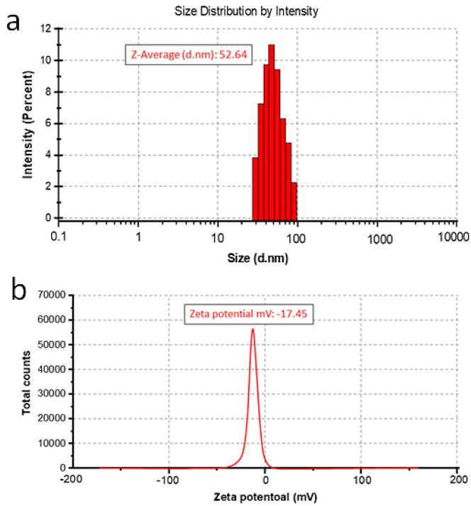 Figure 5