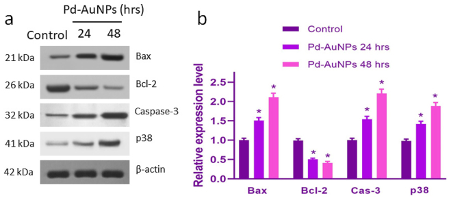 Figure 13