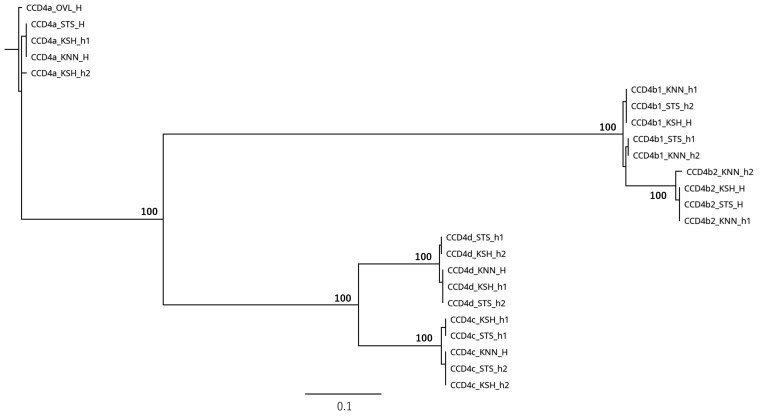 Fig. 10