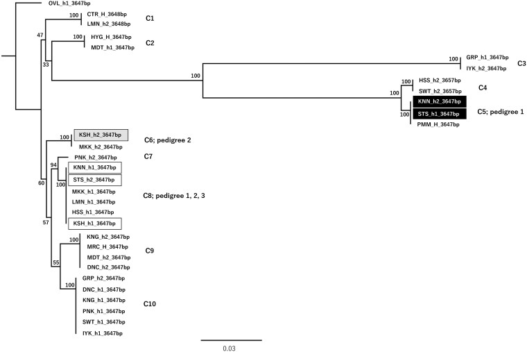 Fig. 6