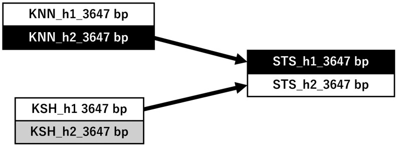 Fig. 7