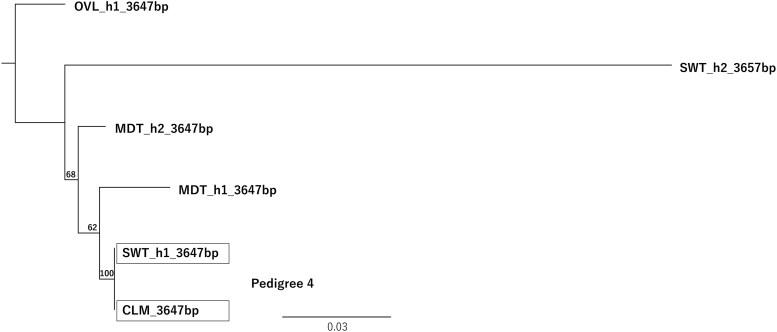 Fig. 8