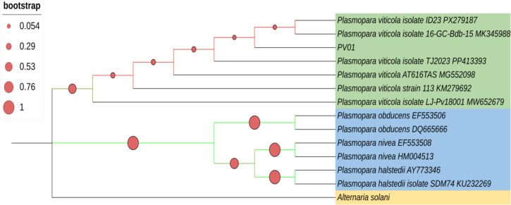 Figure 2