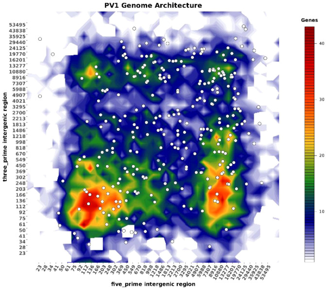 Figure 6