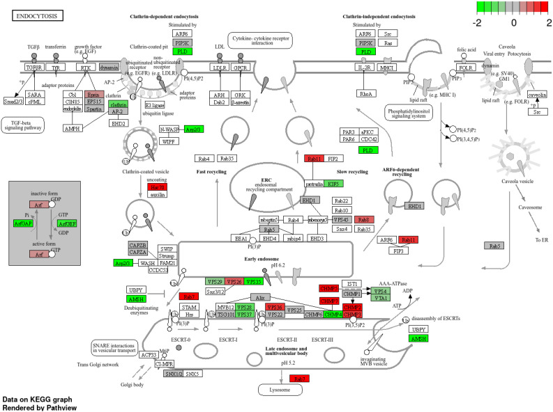 Figure 11