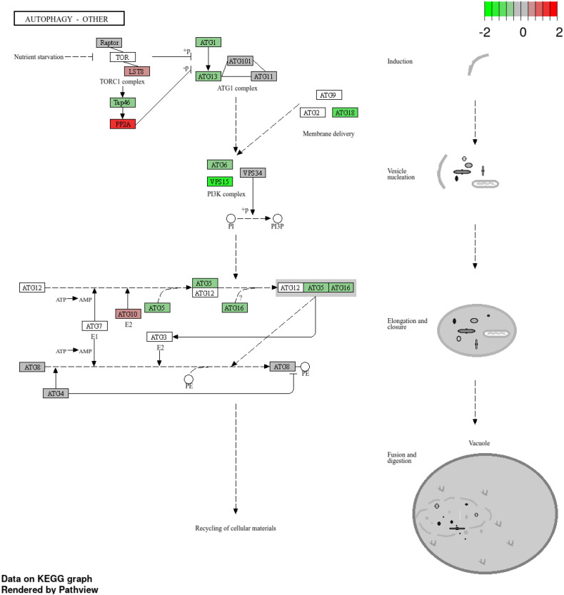 Figure 12