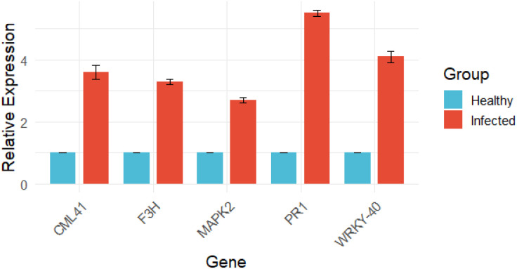 Figure 14