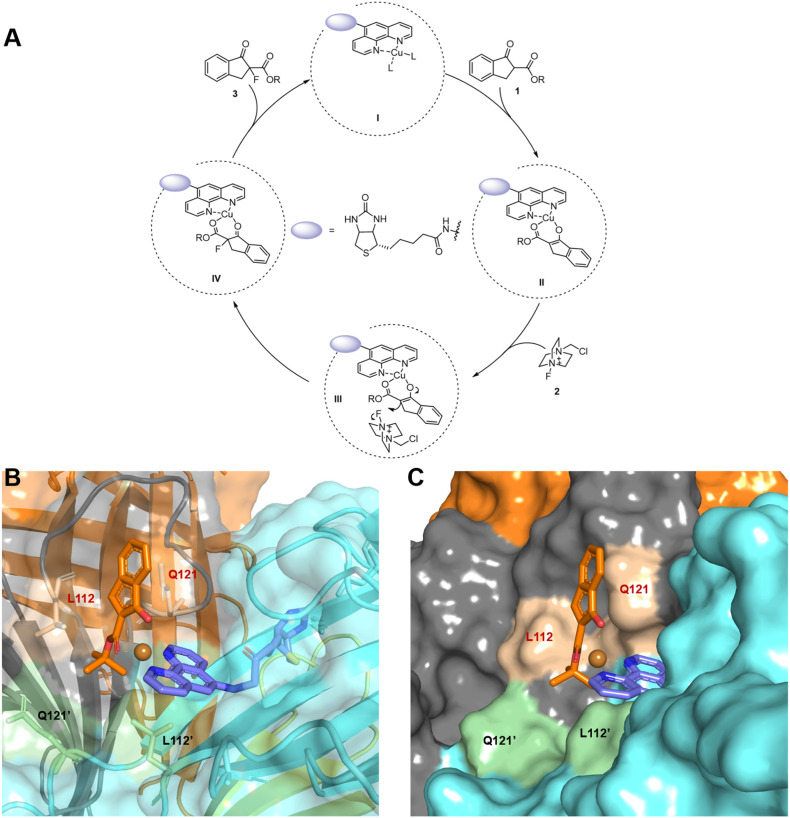 Fig. 4