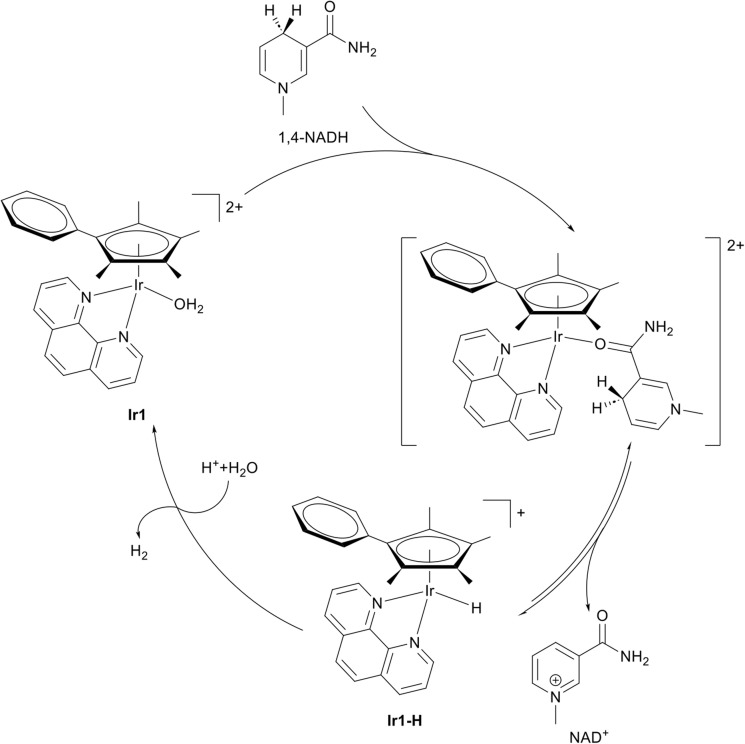 Fig. 6