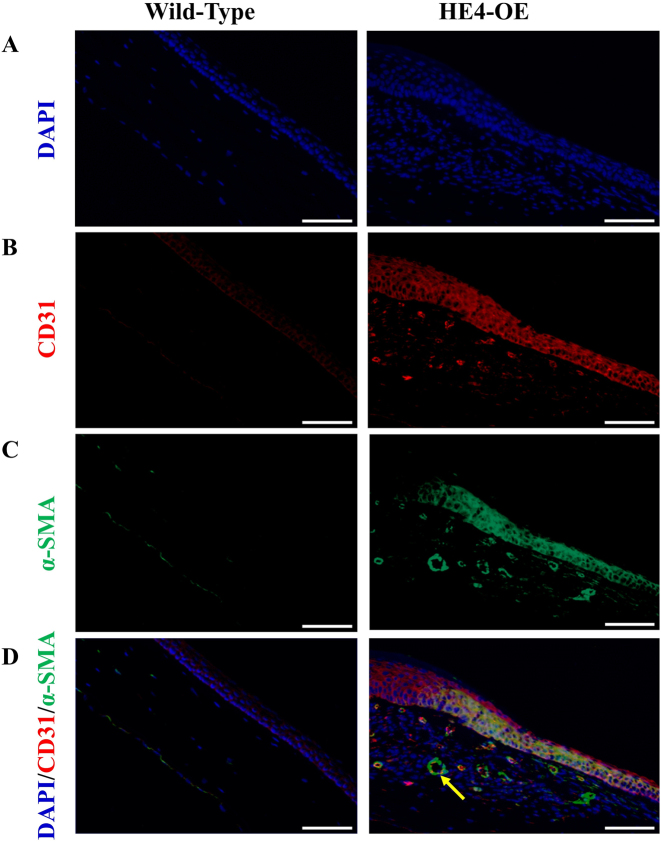 Figure 6