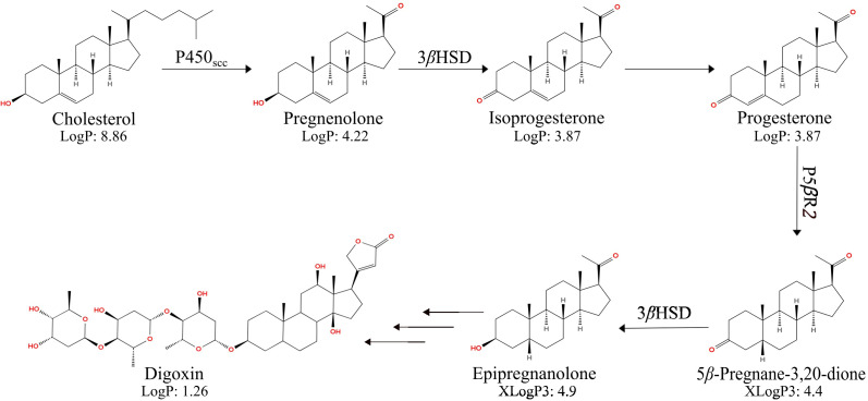 Figure 1