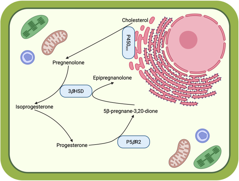 Figure 3